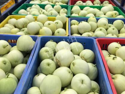 蔬菜種子種植戶客戶點評-5元1斤，這個新品種真香甜！