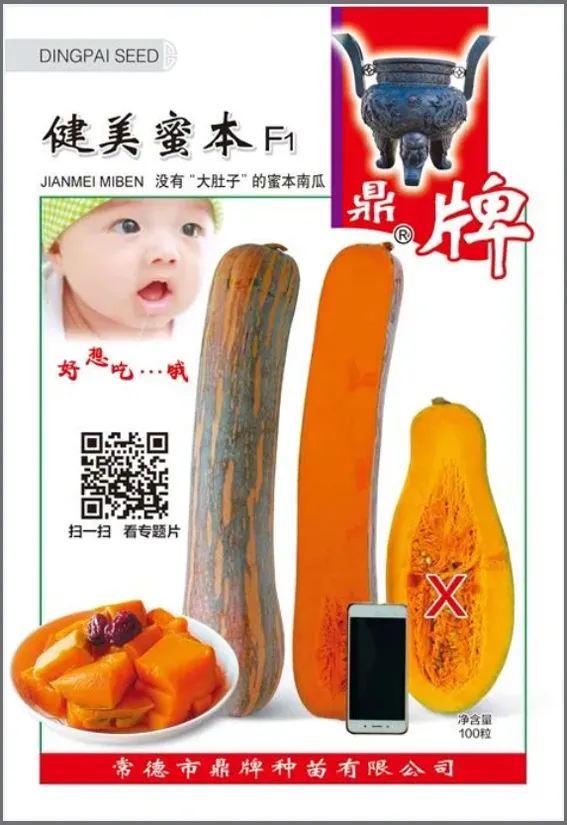3元1斤的健美蜜本南瓜快成熟了，緬甸種植戶發(fā)來圖片與視頻