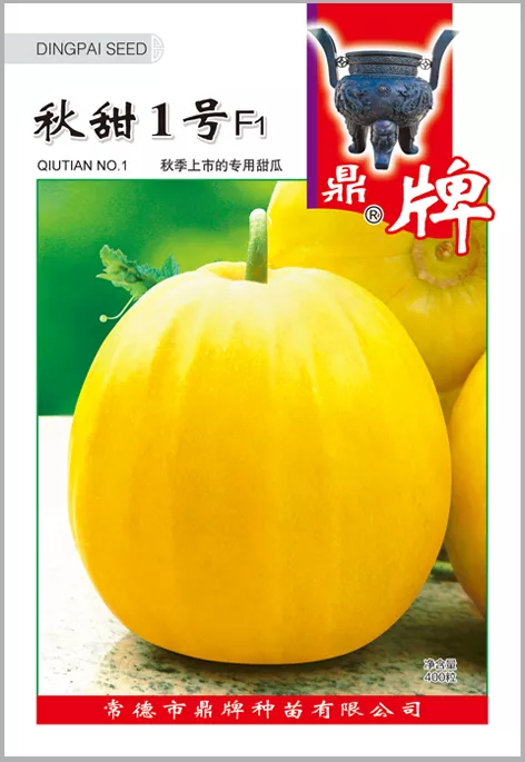 高溫季節(jié)種植甜瓜，什么品種最好？這個品種是秋季上市的專用品種