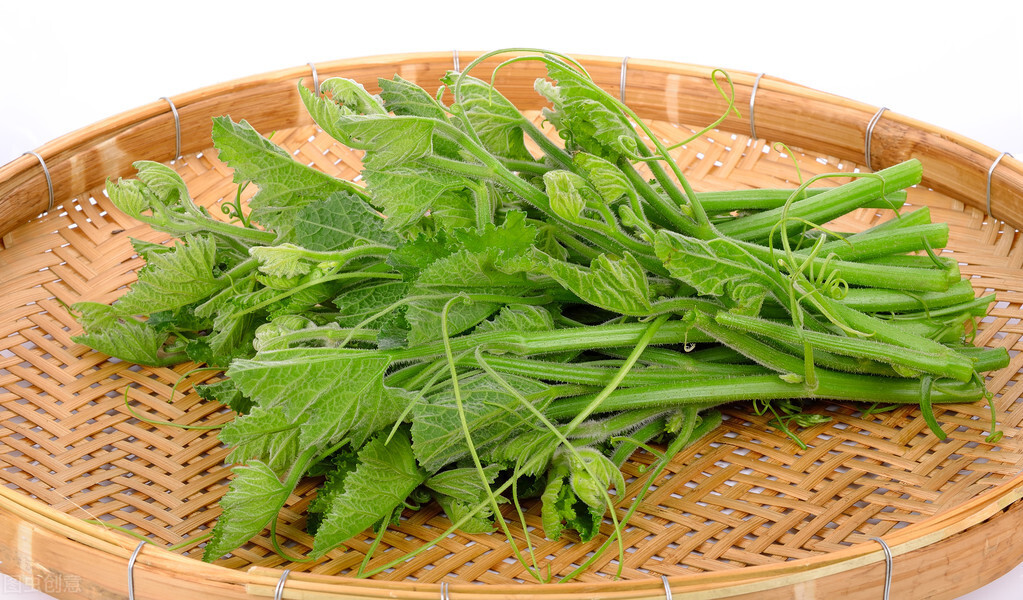 種這種綠葉菜，栽培輕松，畝產(chǎn)值過萬元，菜農(nóng)表示很劃算