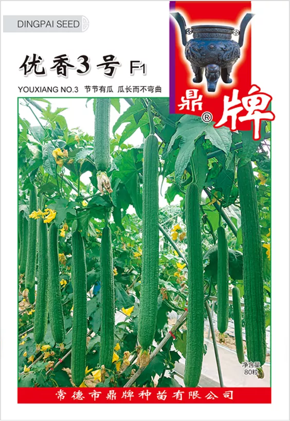它是絲瓜種植戶的新選擇，節(jié)節(jié)有瓜，瓜長(zhǎng)而不彎曲