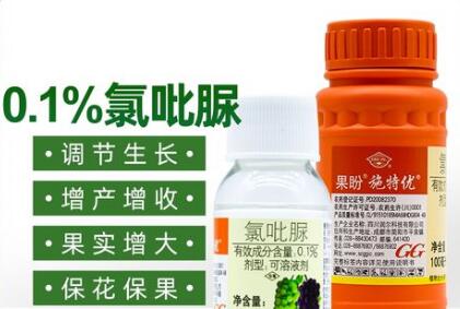 蔬菜種子栽培技術(shù)-<b>正確使用“氯吡脲”，瓜類(lèi)增產(chǎn)30～50%</b>