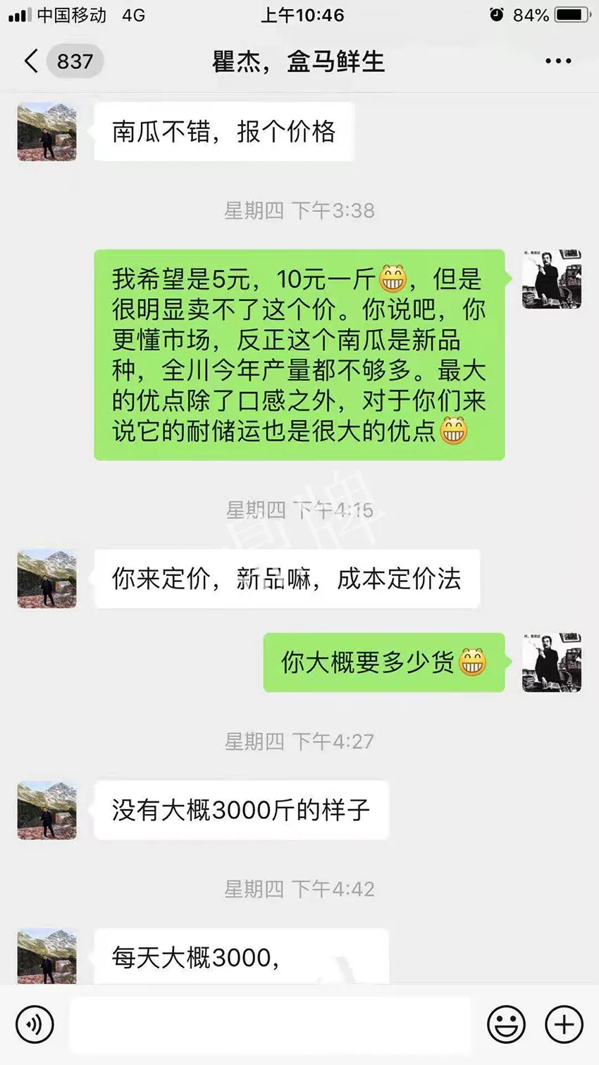 四川農(nóng)戶今年種“健美蜜本”南瓜產(chǎn)量高，品質(zhì)好，感覺巴適得很