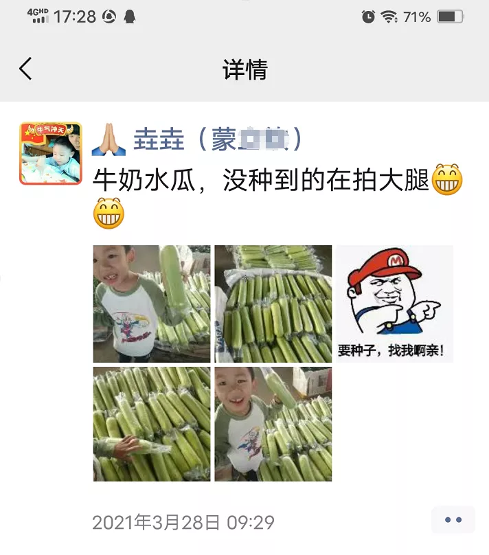 這個絲瓜每畝能掙3萬，沒種植的農(nóng)戶后悔得拍大腿
