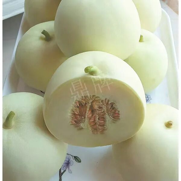 蔬菜種子種植戶種植心得-這個品種幫我留一些，4月份我們當?shù)剡€要種一批