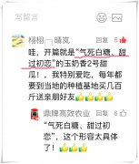 蔬菜種子種植戶客戶點評-“氣死白糖，甜過初戀”，您知道或體驗過這句話嗎